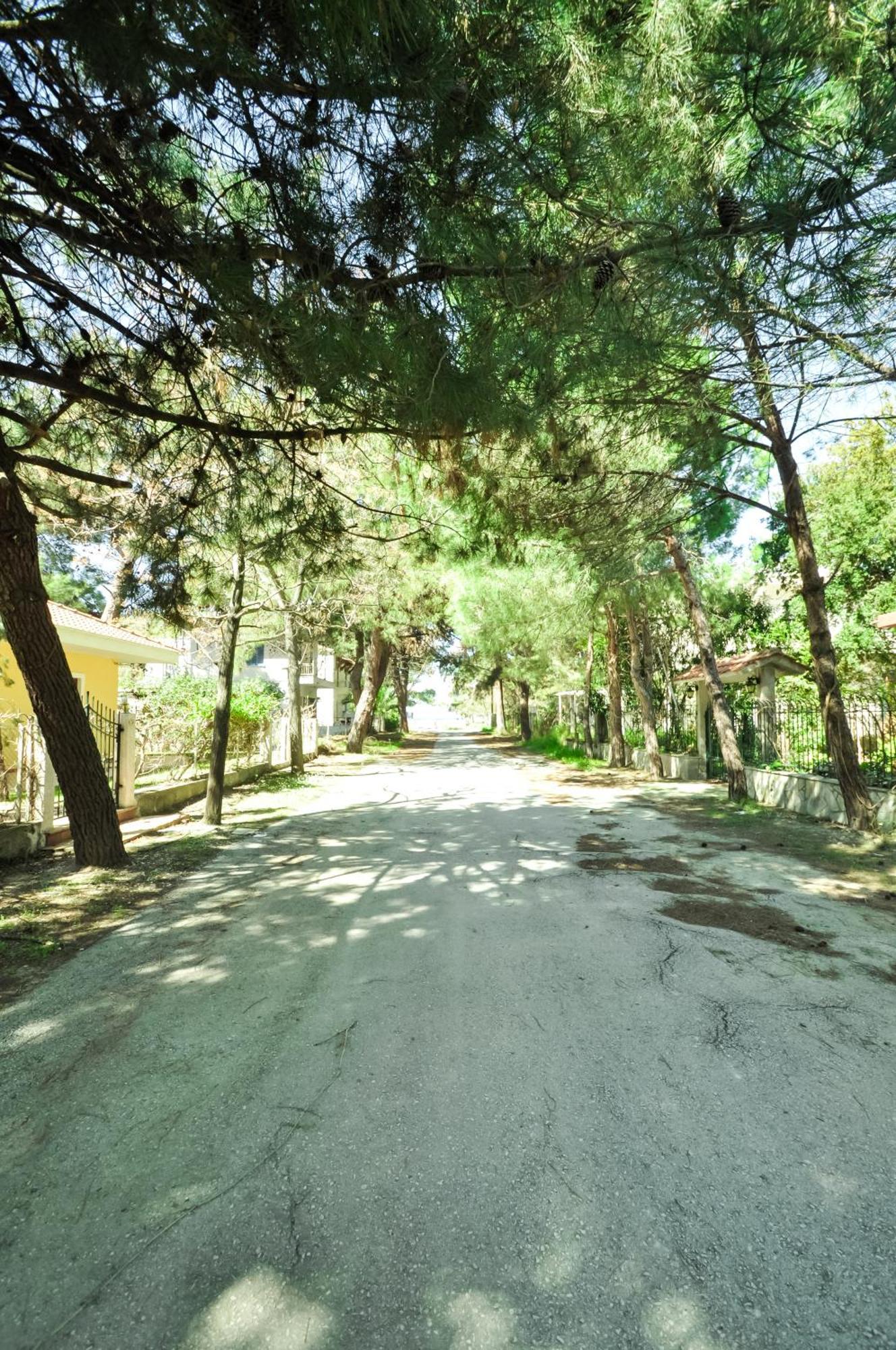 Vlachogiannis Hotel Prínos Dış mekan fotoğraf